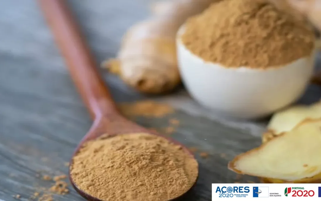 Was Sie essen sollten, um Ihr Immunsystem zu stärken