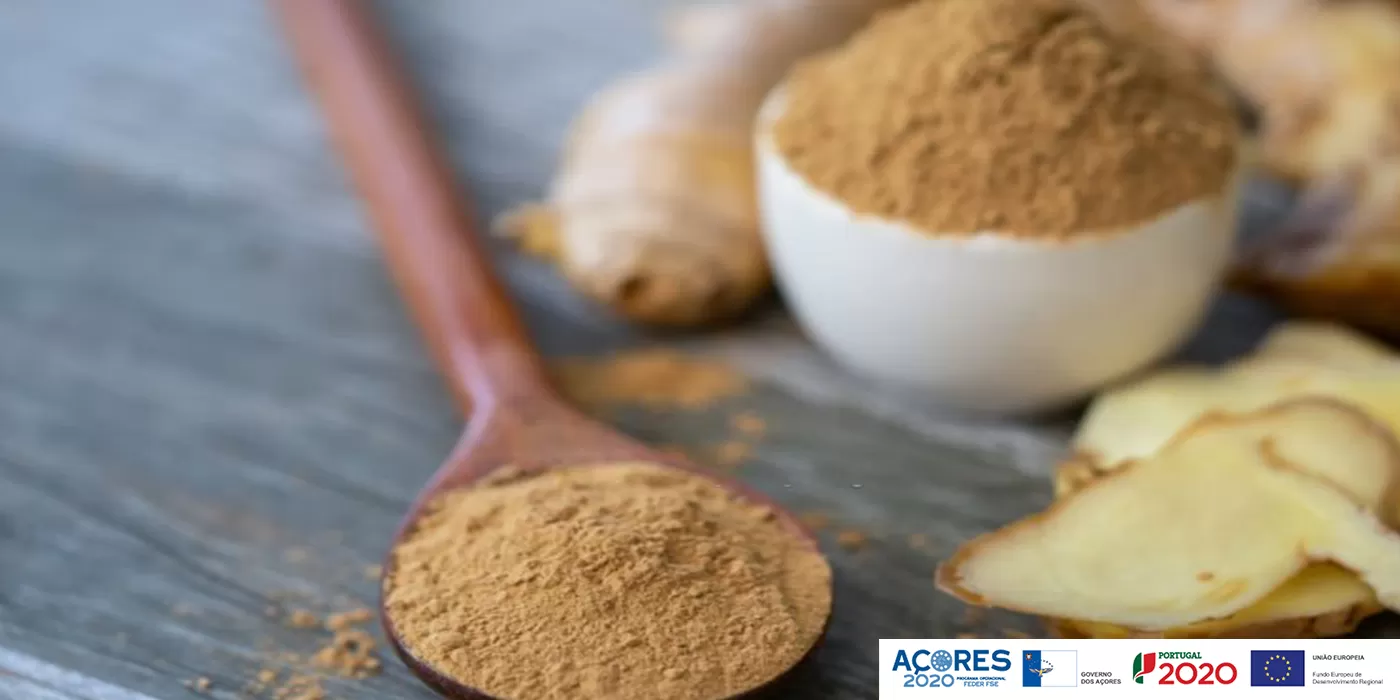 O que comer para ajudar o seu sistema imunitário