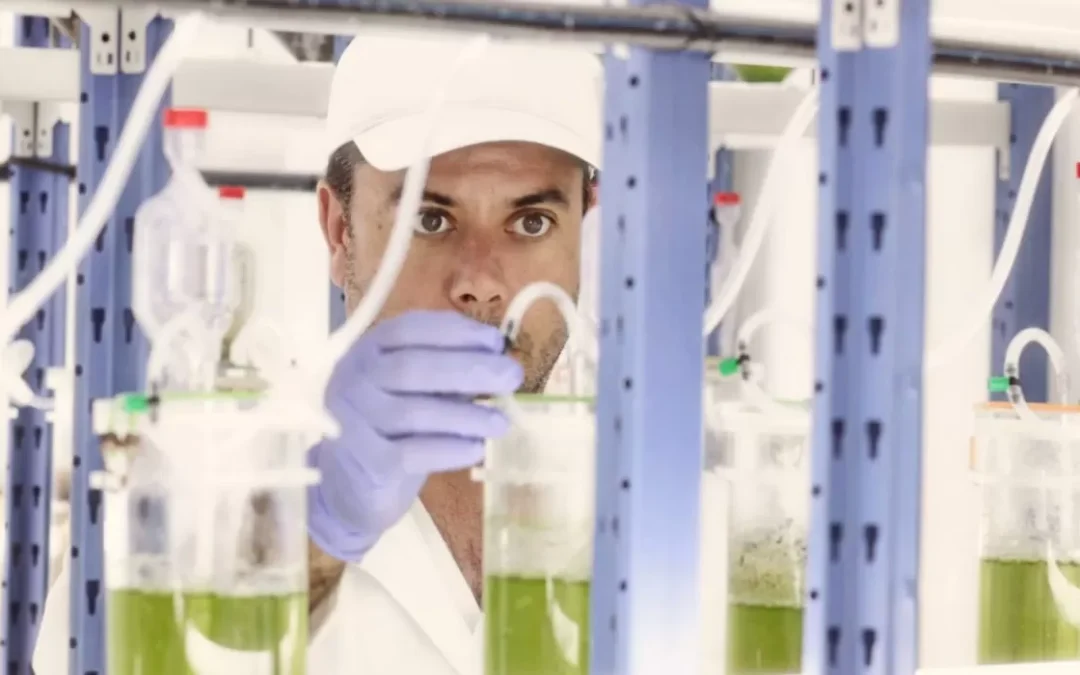 Todo lo que necesita saber sobre el estrés oxidativo