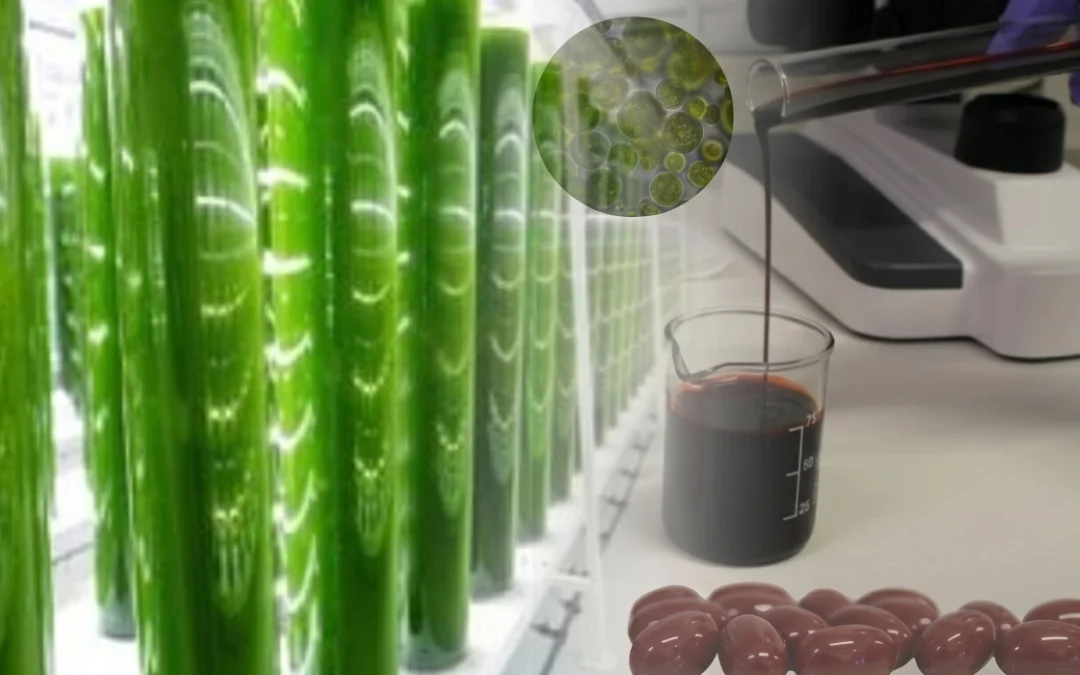 Learn about the production process
