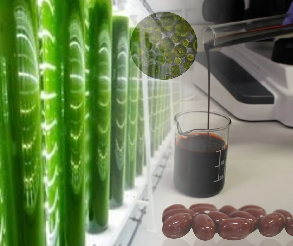 Learn about the production process